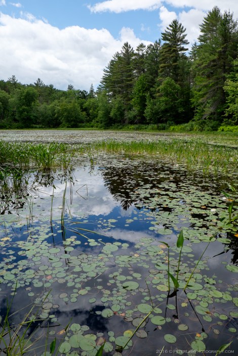 Samuel de Champlain Park