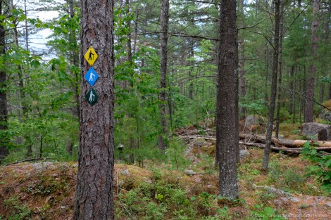 Samuel de Champlain Park