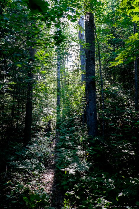 Samuel de Champlain Park