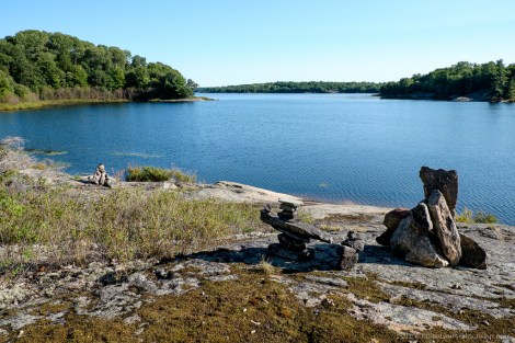 The Massasauga