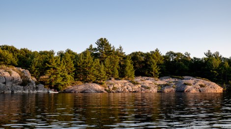 The Massasauga