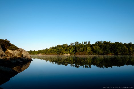 The Massasauga
