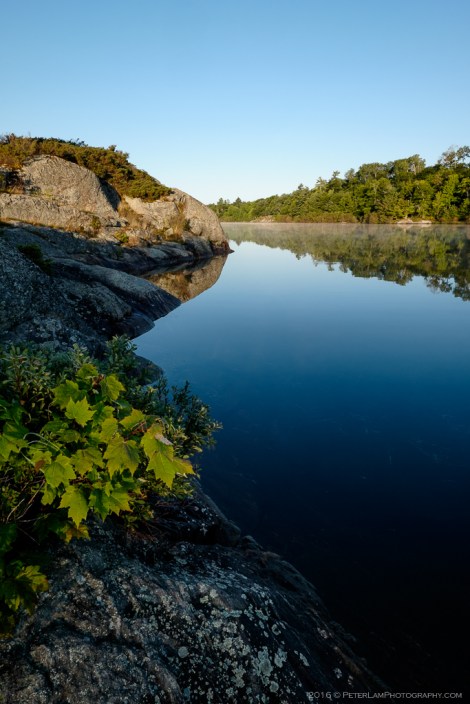 The Massasauga