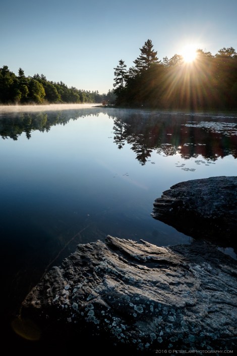 The Massasauga