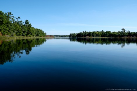 The Massasauga