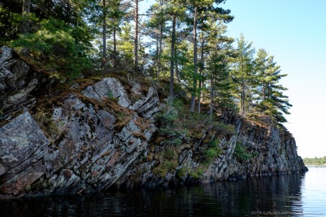 The Massasauga