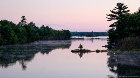The Massasauga