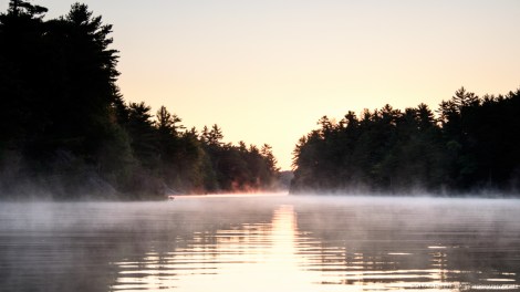 The Massasauga