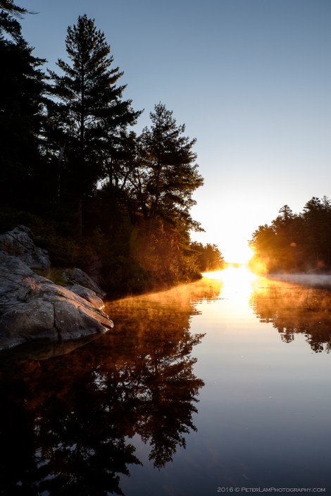 The Massasauga