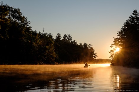 The Massasauga