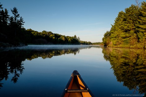 The Massasauga