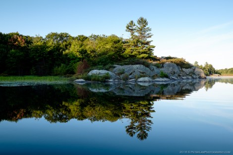 The Massasauga