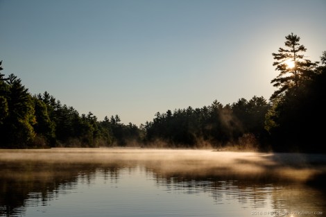 The Massasauga
