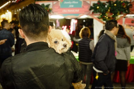 Stanley Christmas Market