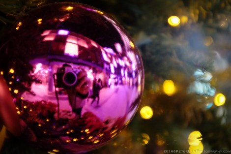 Stanley Christmas Market