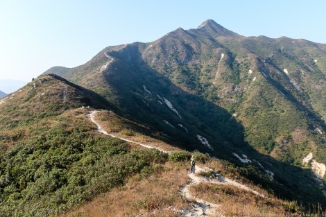 Sharp Peak